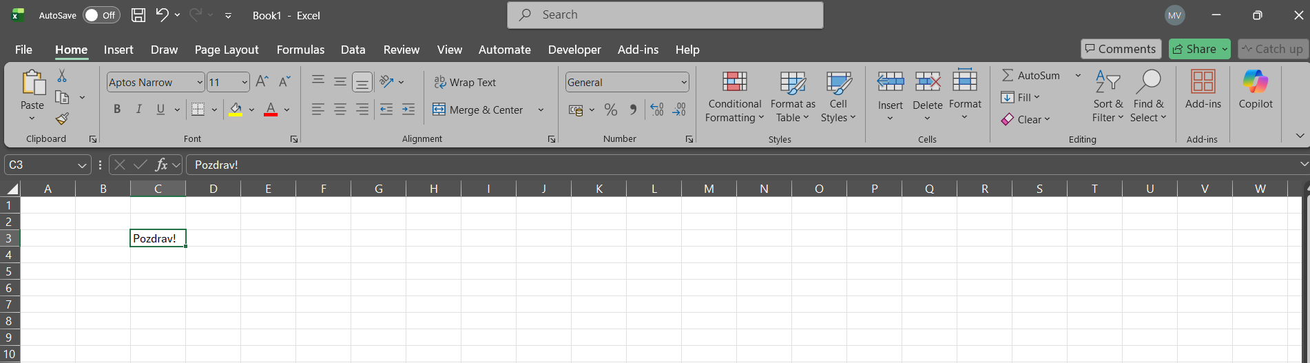 Excel početni prozor s kolonama i redovima.